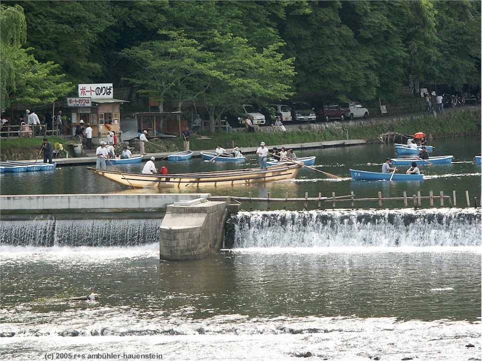 [ kyoto: "weidling" auf dem katsuragawa (nahaufnahme) ]