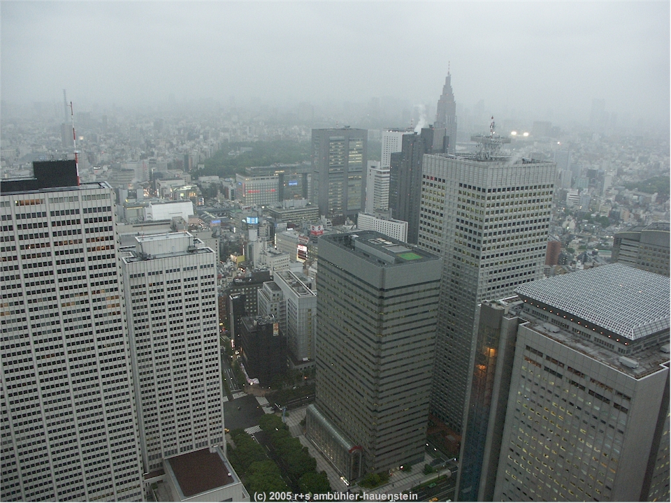 [ tokyo: blick vom metropolitan government offices twin tower richtung sdosten ]