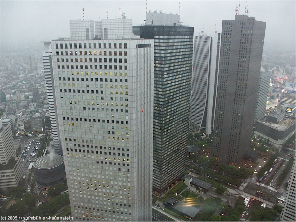 [ tokyo: blick vom metropolitan government offices twin tower richtung nordosten ]