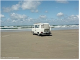 "jogi" auf dem sandstrand bei vejers strand