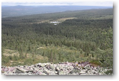 blick auf die ebene im fulufjllets nationalpark