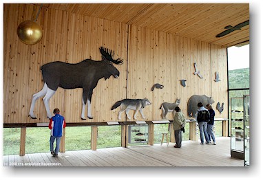 erluterungen zu den wildtiere in schweden im besucherzentrum des fulufjllets nationalpark