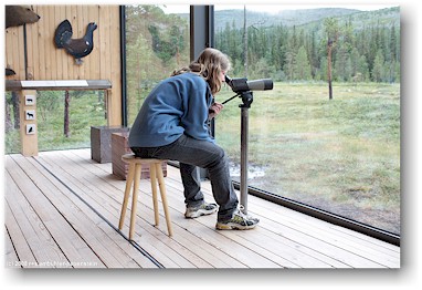 katrin am fernrohr im besucherzentrum des fulufjllets nationalpark