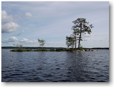 malerische kleininsel mit bumen im stora br