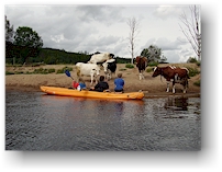 bootstour auf dem vsterdallven