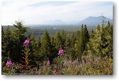 blick vom radar hill im pacific rim national park auf vancouver island