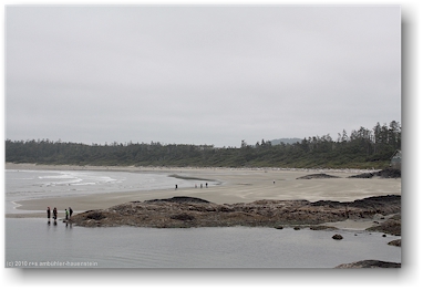 blick ber die sdliche wickaninnish bay im pacific rim national park auf vancouver island