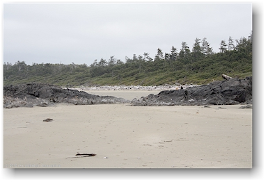 mit felsen durchsetzter sandstrand bei der sdlichen wickaninnish bay im pacific rim national park auf vancouver island
