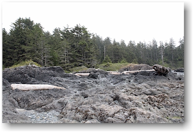 felskste zwischen sandstrand und waldgrtel bei der sdlichen wickaninnish bay im pacific rim national park auf vancouver island