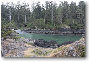 lagune bei der sdlichen wickaninnish bay im pacific rim national park auf vancouver island