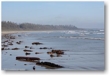 blick ber die nrdliche wickaninnish bay im pacific rim national park auf vancouver island