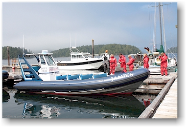 unser boot fr die waltour im hafen von tofino auf vancouver island