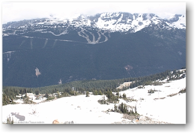 blick von der roundhouse lodge auf die waldschneisen fr die skipisten des 7th heaven bei whistler, CAN