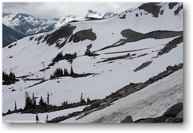 harmony ridge am whistler mountain