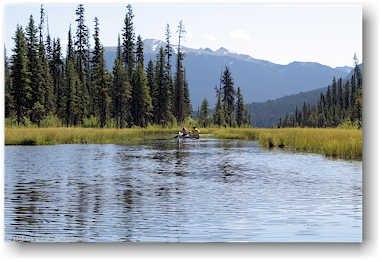 schilfreiches westende des kibbee lake