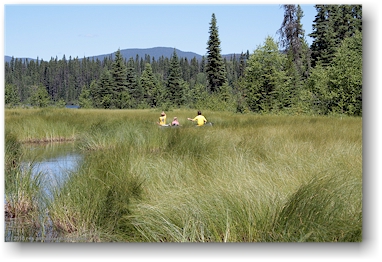durchfahrt vom kibbee lake zum thompson lake