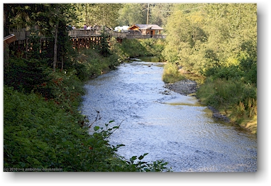 steg ber dem salmon river in der fish creek wildlife site in hyder, alaska, USA