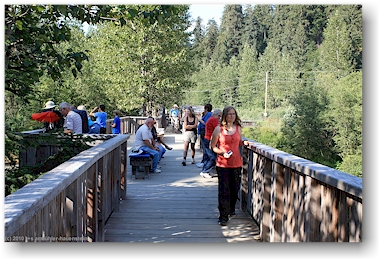auf dem steg ber dem salmon river in der fish creek wildlife site in hyder, alaska, USA