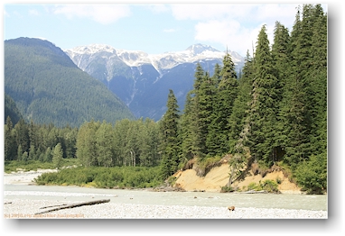 granduc mill road entlang des salmon river bei hyder, alaska, USA