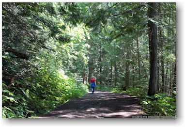 susanne auf dem berg lake trail im mount robson provincial park, CAN