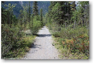 berg lake trail entlang des kinney lake im mount robson provincial park, CAN