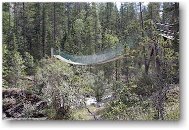 hngebrcke im berg lake trail im mount robson provincial park, CAN