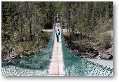 katrin auf der hngebrcke im berg lake trail im mount robson provincial park, CAN