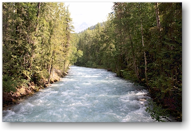 blick von der brcke beim beginn des berg lake trail auf den robson river im mount robson provincial park, CAN