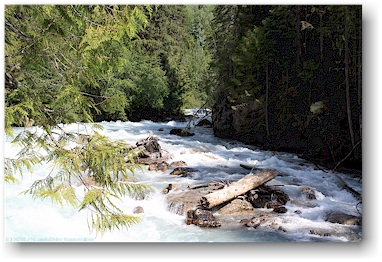 wilder robson river im mount robson provincial park, CAN