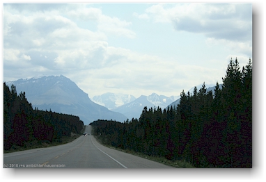 blick vom highway 16 auf die rockies kurz vor dem jasper national park, CAN