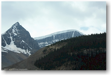 icefields parkway im jasper national park, CAN