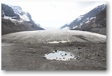 athabasca glacier im jasper national park, CAN