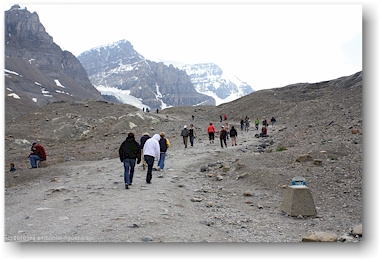 marke 1982 beim athabasca glacier im jasper national park, CAN