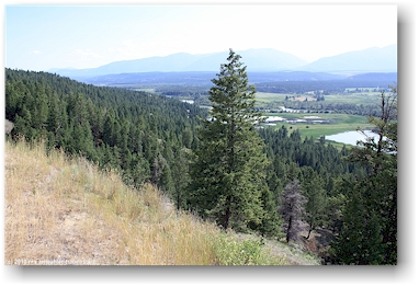 blick auf den columbia river bei radium hot springs, CAN