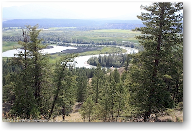 blick auf den columbia river bei radium hot springs, CAN