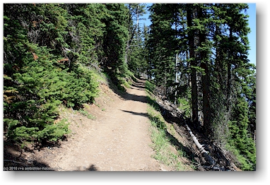 wanderweg auf den sulphur mountain im banff national park, CAN