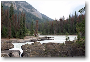 kicking horse river im yoho national park, CAN