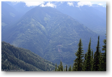 forststrasse im wald gegenber dem idaho peak, CAN