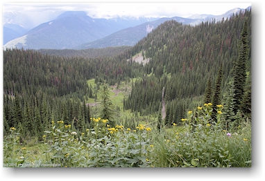 blick vom idaho peak richtung norden ins tal, CAN