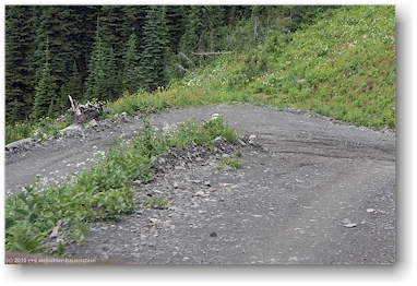 spektakulre forststrasse zum idaho peak, CAN