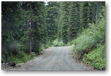 spektakulre forststrasse zum idaho peak, CAN