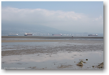 ebbe im burrard inlet bei der spanish bank beach, vancouver, CAN