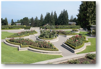 rosengarten (rose garden) auf dem campus der university of british columbia (UBC), vancouver, CAN