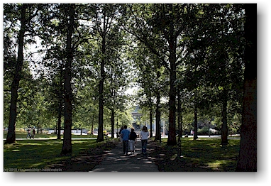 schattiger fussweg auf dem campus der university of british columbia (UBC), vancouver, CAN