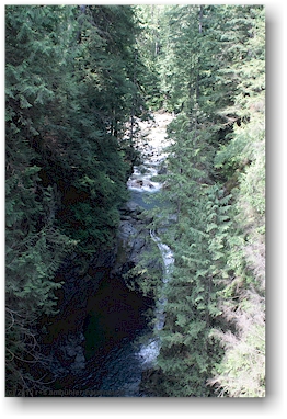 blick von der hngebrcke (suspension bridge) in den lynn creek im lynn canyon park bei vancouver, CAN