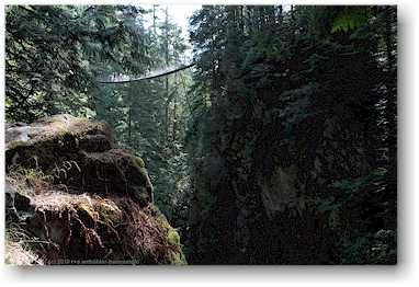 hngebrcke (suspension bridge) ber den lynn creek im lynn canyon park bei vancouver, CAN