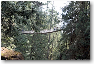 hngebrcke (suspension bridge) ber den lynn creek im lynn canyon park bei vancouver, CAN