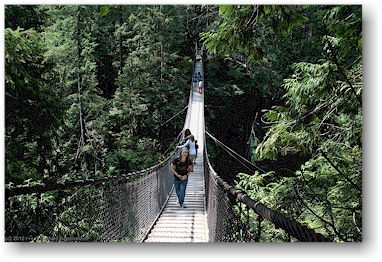 katrin auf der hngebrcke (suspension bridge) ber den lynn creek im lynn canyon park bei vancouver, CAN