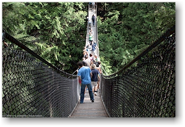 daniel auf der hngebrcke (suspension bridge) ber den lynn creek im lynn canyon park bei vancouver, CAN