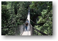 hngebrcke im lynn canyon park bei vancouver, CAN